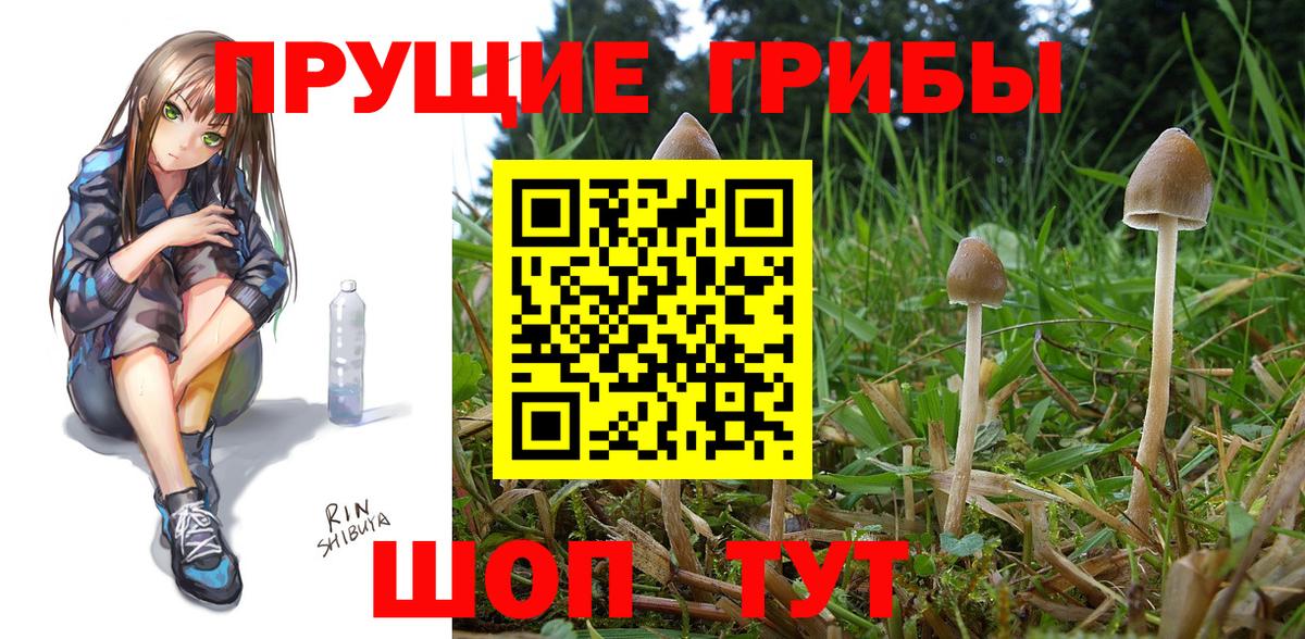 Сокол  Галлюциногенные грибы мицелий  Вход с VPN 