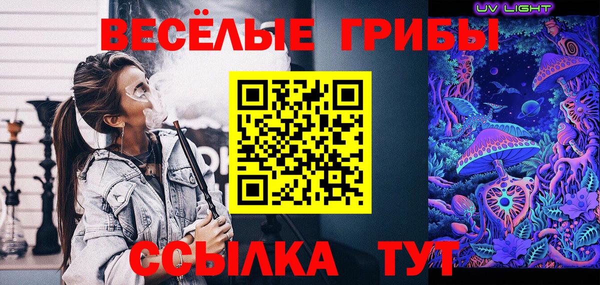 Псилоцибиновые грибы GOLDEN TEACHER Сокол