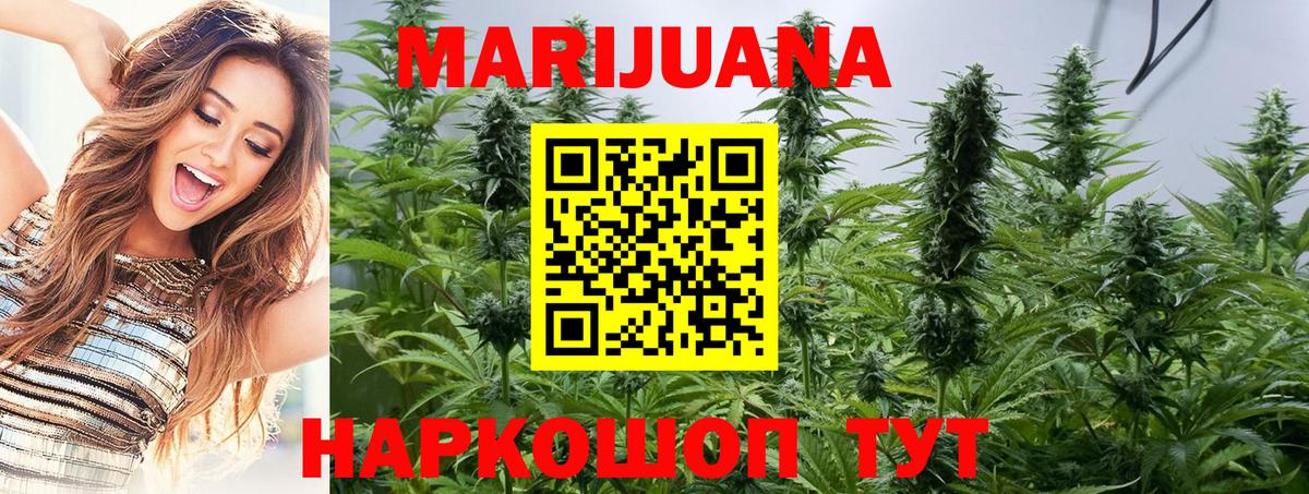 Каннабис Ganja  Бошки Шишки план  Вход с VPN  Сокол  Бошки марихуана THC 21% 